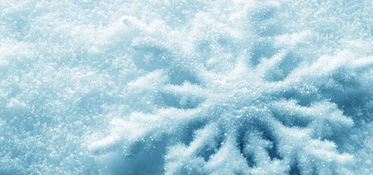關(guān)于雪花在北風中的詩句