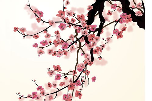 傲骨,詩(shī)句,梅花,贊美