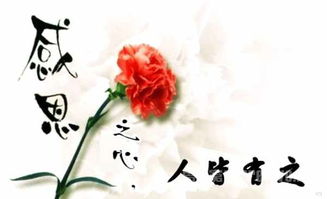 有關感恩的成語古詩句