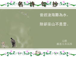 關(guān)于愛(ài)情的詩(shī)句唯美,關(guān)于愛(ài)情的詩(shī)句現代詩(shī),關(guān)于愛(ài)情遺憾的詩(shī)句