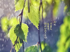 有沒有關(guān)于寫雨的詩句
