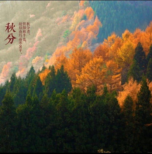 詩句,二十四,秋風