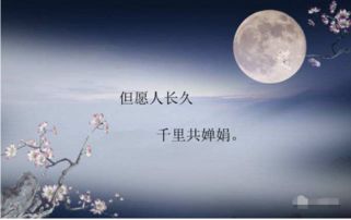 關(guān)于月亮中秋節的詩(shī)句古詩(shī)大全