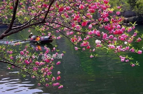 詠柳描寫春天的詩句是什么,描寫春天的詩句是什么請告訴我,春曉描寫春天的詩句是什么