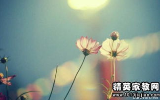 挽回愛人的古詩句