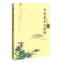 詩句,詩中,表達