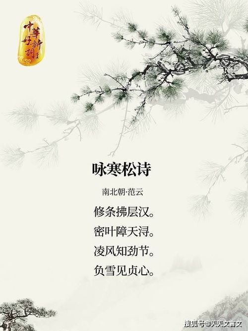 長壽,松樹,詩句,代表