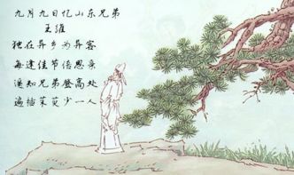 中有,古詩(shī),詩(shī)句,故鄉