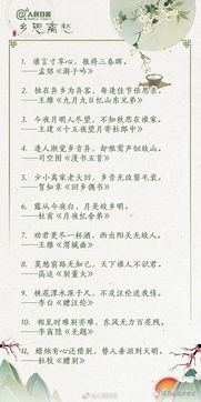 關(guān)于在實(shí)踐中學(xué)會(huì)運(yùn)用的詩句名言警句