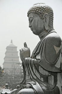 關(guān)于冬雪長(cháng)安詩(shī)句古詩(shī)