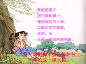 關(guān)于寶寶小手的詩(shī)句
