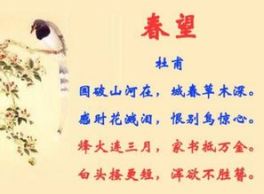 詩(shī)句,形容,追求,醫(yī)生