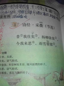 描寫雨的古詩(shī)句六級(jí)