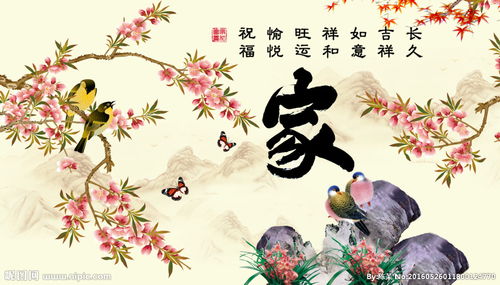 關于梅花喜鵲的詩句