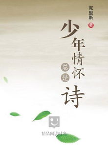 愛(ài)國,詩(shī)句,情懷
