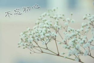 初心,詩句,動機