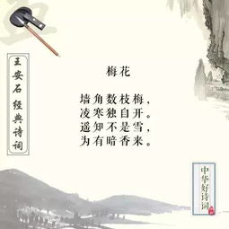 王安石寫(xiě)的關(guān)于新的詩(shī)句