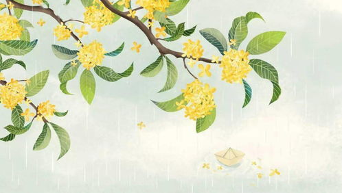 關(guān)于秋菊的詩(shī)句古詩(shī)詞