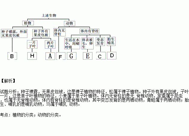 關(guān)于生理特征詩句