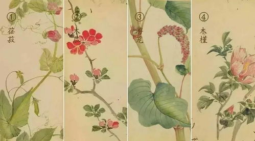 詩經(jīng)里關(guān)于花草的詩句有哪些