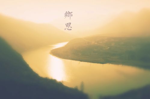鄉(xiāng)思之情的古詩(shī)詩(shī)句