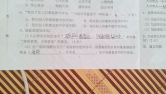 關(guān)于蘇軾旁觀者清的詩句是什么