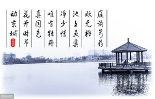 有見的古詩句