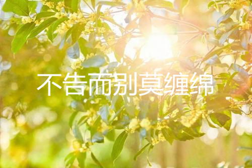 暗示不告而別的古詩(shī)句