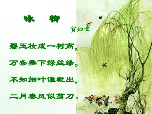 詠柳的古詩(shī)句子