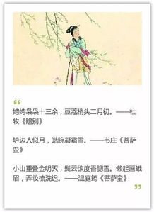 形容女子手的古詩(shī)句