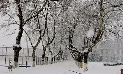 冬天描寫雪景的詩句古詩
