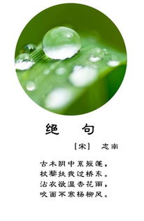 關(guān)于描寫春雨的詩(shī)句古詩(shī),描寫春雨的詩(shī)句古詩(shī)名句,描寫春雨春雷的詩(shī)句古詩(shī)