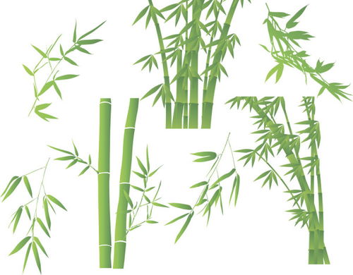 贊美竹子高貴品質(zhì)的古詩句