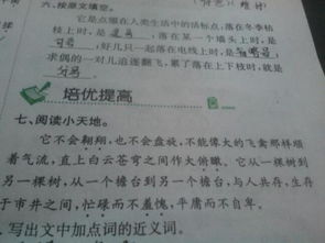 運(yùn)用對(duì)比手法的古詩(shī)句有哪些,運(yùn)用了對(duì)比手法的古詩(shī)句子,運(yùn)用對(duì)比手法的寫景古詩(shī)