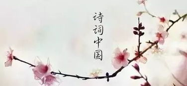 中有,古詩,詩句