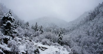 詩句,大雪,贊美