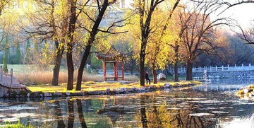 關(guān)于深秋初冬的詩句