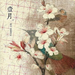 古詩月開頭的詩句