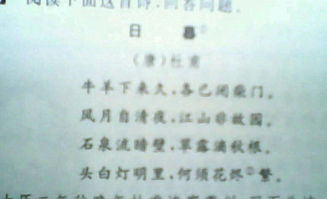 關(guān)于杜甫體現思想情感的詩(shī)句