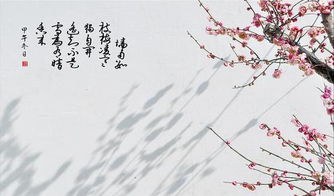 有關(guān)梅的詩(shī)句和賞析,關(guān)于月和梅的詩(shī)句賞析,梅的意象詩(shī)句賞析