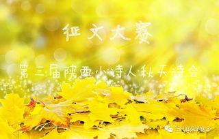 表達詩人對秋天的喜愛的詩句,詩人贊美秋天的詩句,詩人描寫秋天的詩句