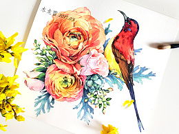 春天關(guān)于鳥花的詩(shī)句古詩(shī)大全
