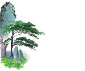 小學(xué)贊美松樹(shù)的詩(shī)句古詩(shī)