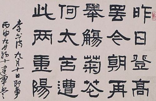 寫(xiě)出幾句關(guān)于九月初九的詩(shī)句