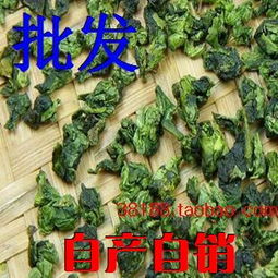鐵觀(guān)音,詩(shī)句