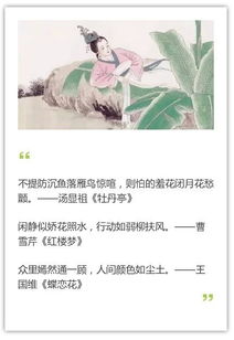 贊揚美人的古詩句