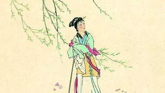古詩(shī)詞中比喻剩女的詩(shī)句