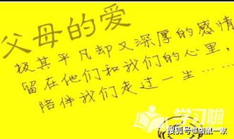 寫兩句表現(xiàn)偉大母愛或父愛的古詩句