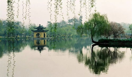 蘇軾關(guān)于美景的詩句有哪些