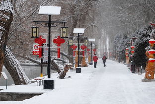 關于古鎮(zhèn)的雪景的詩句
